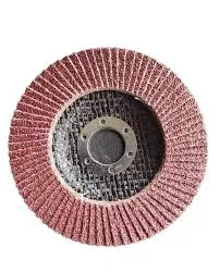 DISCO FLAP CAFE 4.5 P60 PROTOOLS