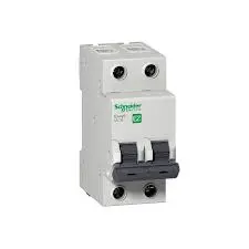 BREAKER SQD RIEL DIN 2x63