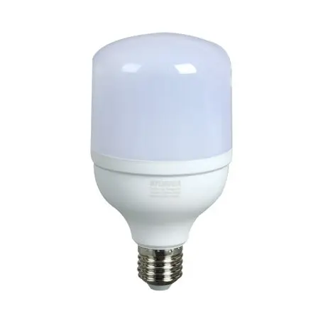 FOCO LED 20W 6500 EVLITE 